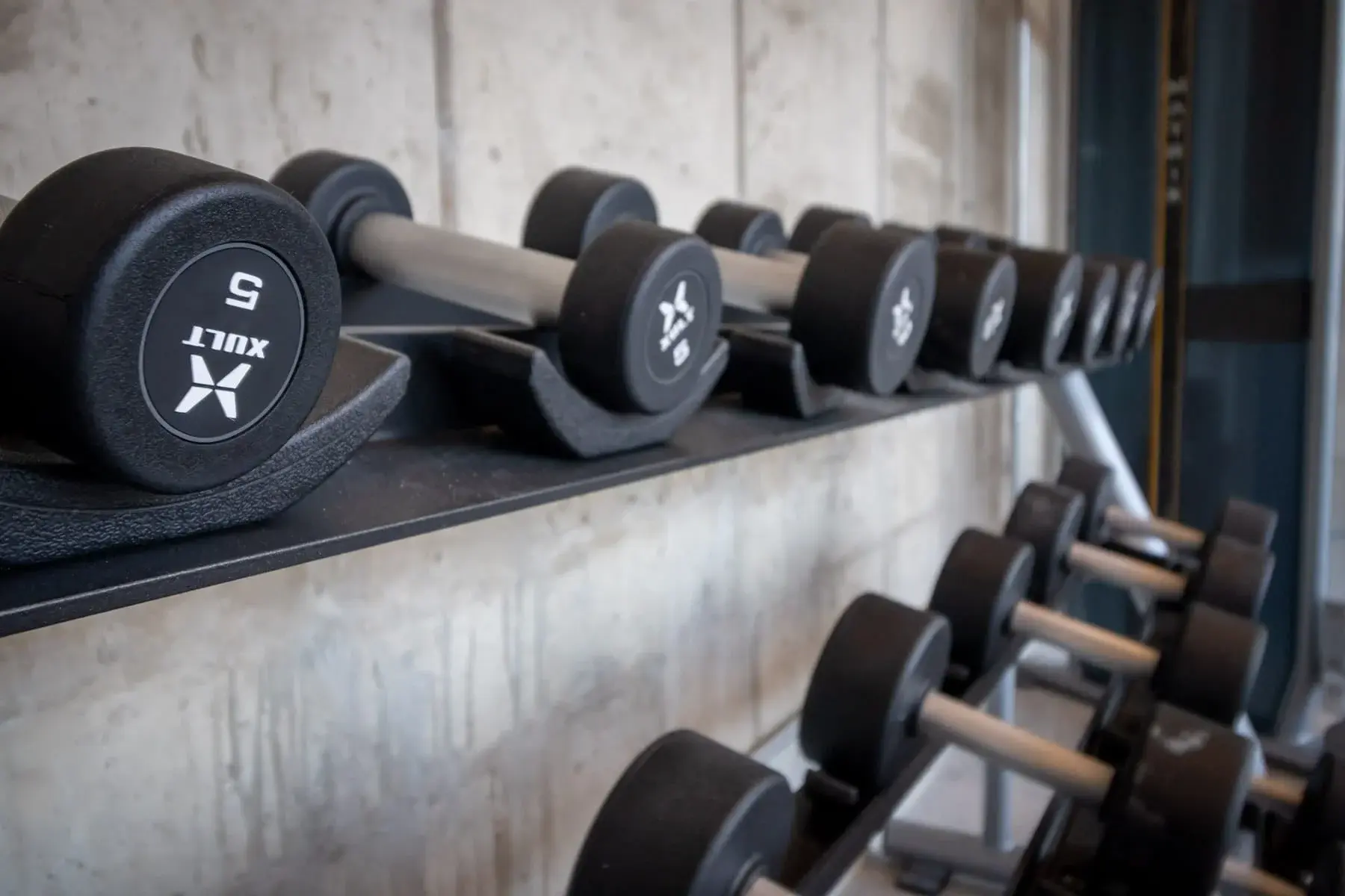 The Penny at Jackson Ward free weights in fitness center